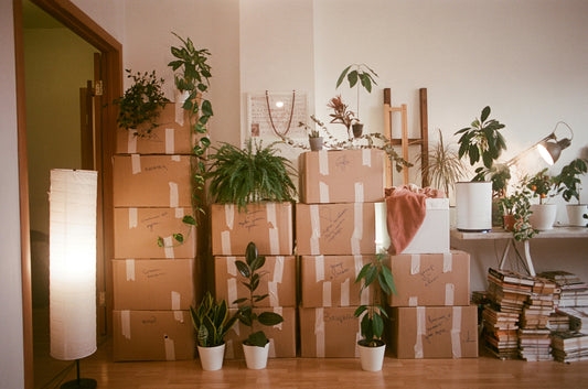 The Ultimate New Movers Checklist: Everything You Need for a Smooth Start