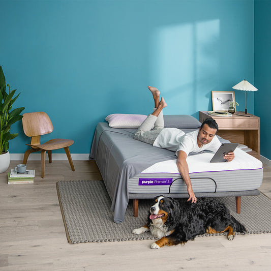 Man Laying On The Purple Hybrid Premier 3 Mattress Reaching Over And Petting A Pet Dog