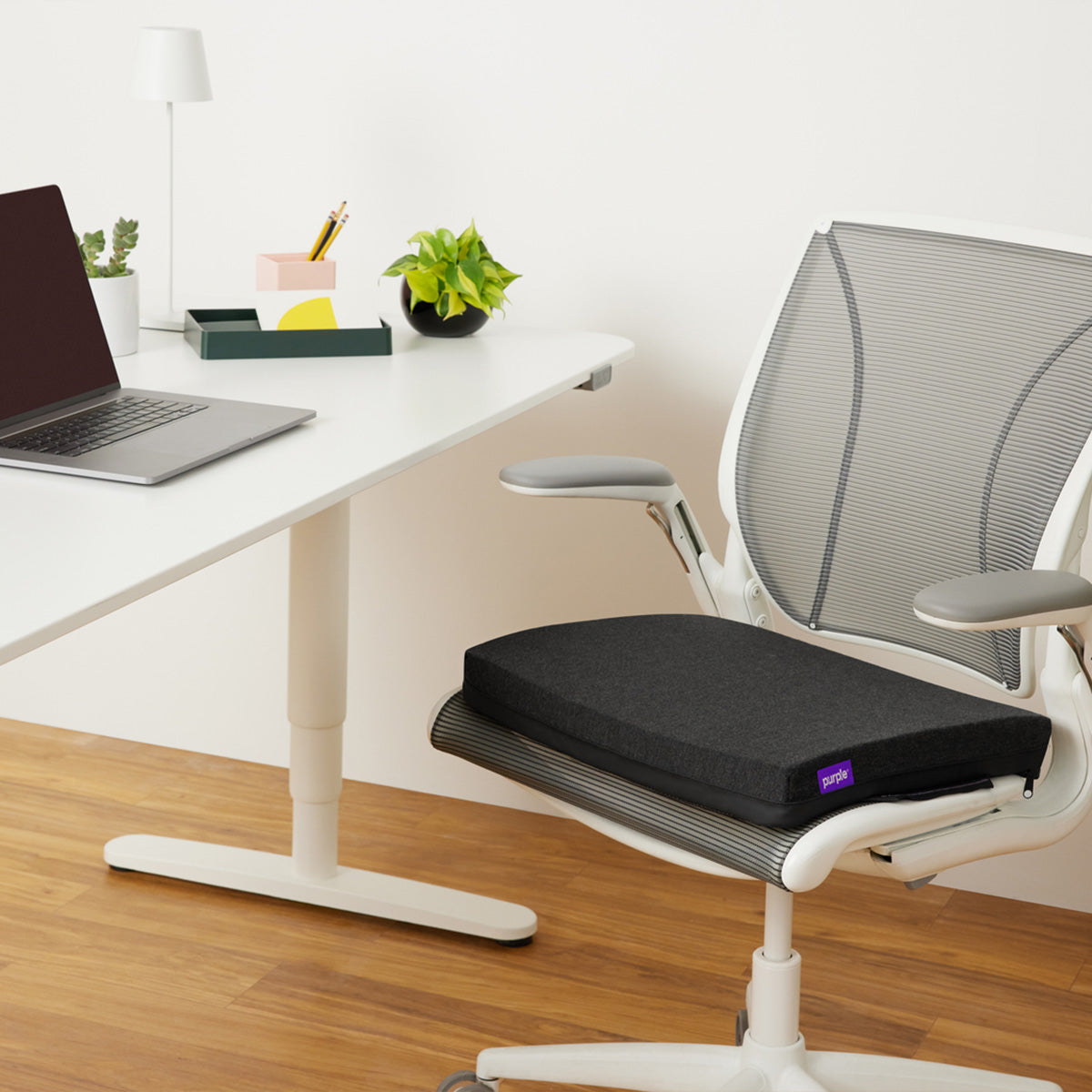 Purple Double Seat Cushion On An Office Chair Near A Desk With Laptop And Plants