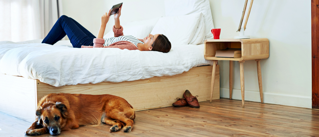 woman lying on mattress with dog