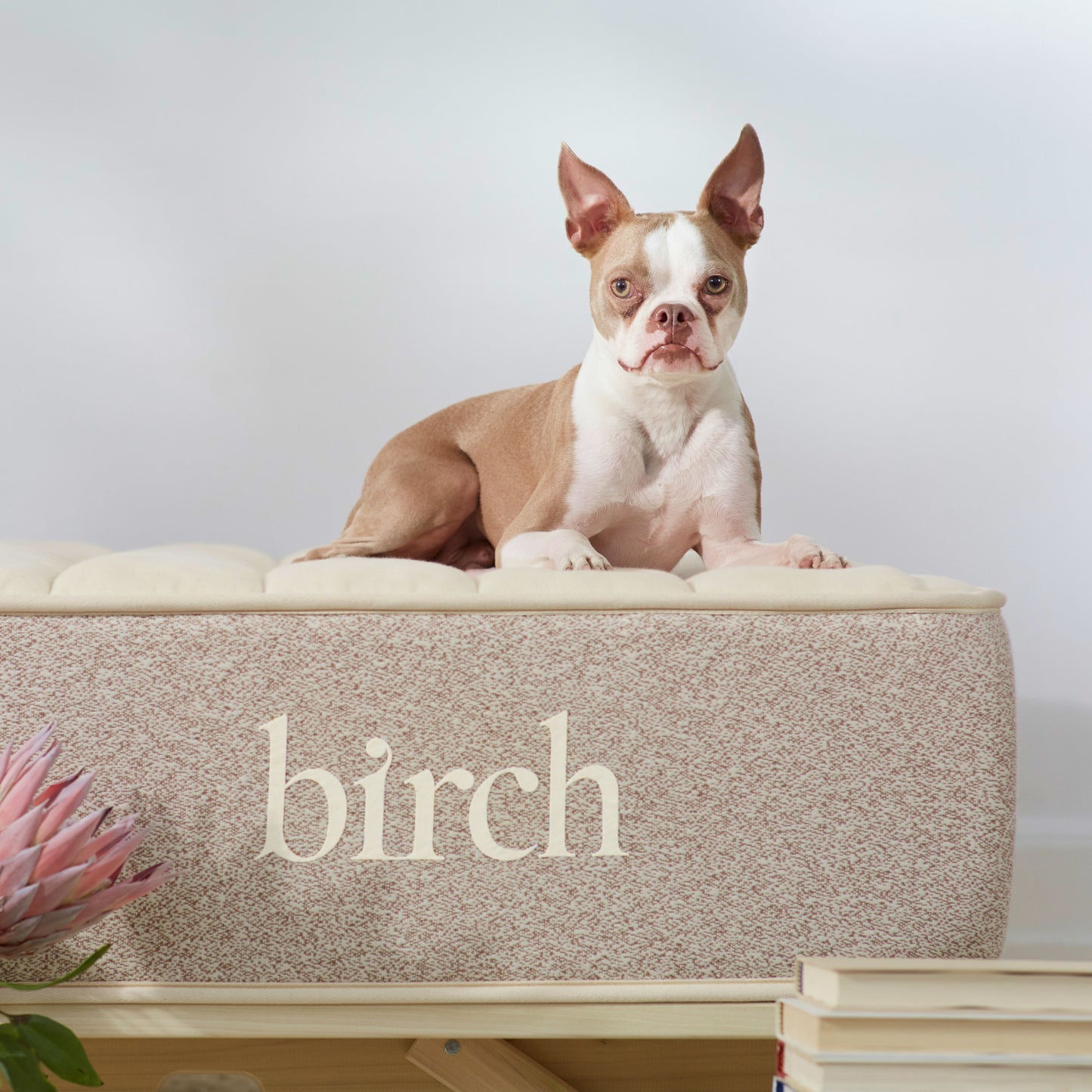 Birch Natural Mattress