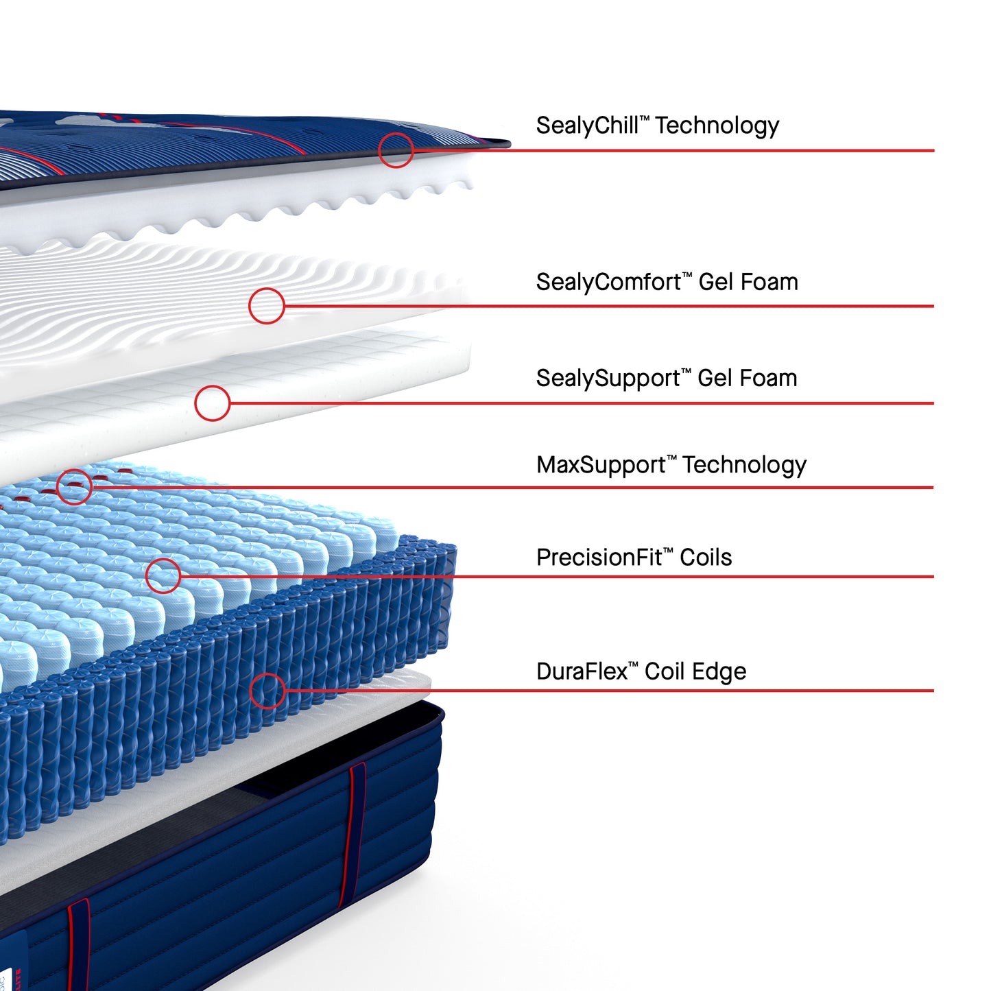 Sealy Posturepedic® Elite Albany II Firm Mattress - cutaway