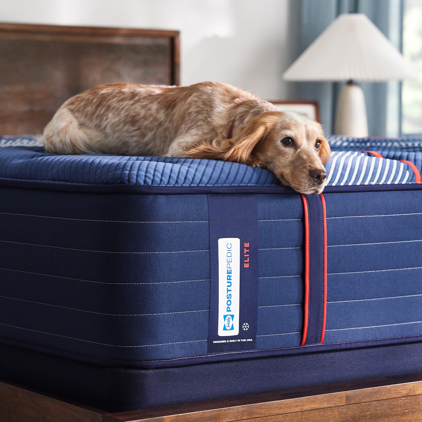 Sealy Posturepedic® Elite Albany II Firm Mattress - lifestyle