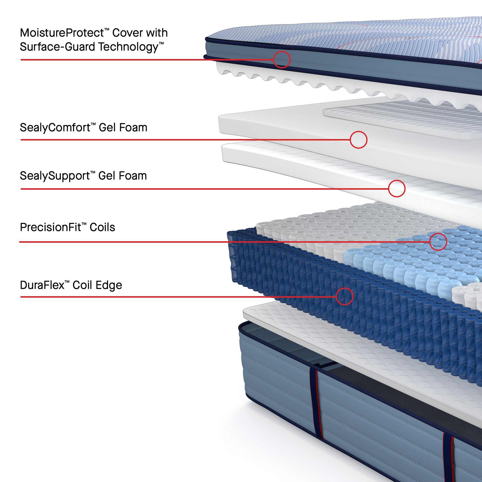 Sealy A+ Content MoistureProtect Cover with Surface-Guard Technology, SealyComfort Gel Foam, PrecisionFit Coils, DuraFlex Coil Edge