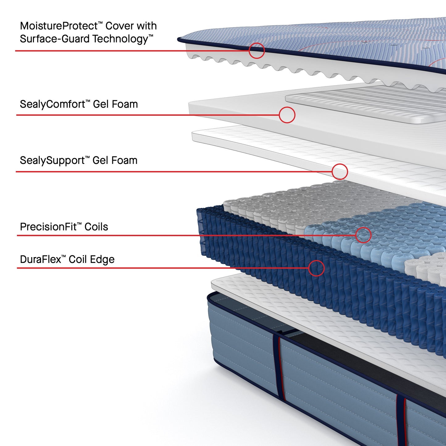 Sealy A+ Content Mattress Layers MoistureProtect Cover with Surface-Guard Technology SealyComfort Gel Foam SealySupport Gel Foam PrecisionFit Coils DuraFlex Coil Edge