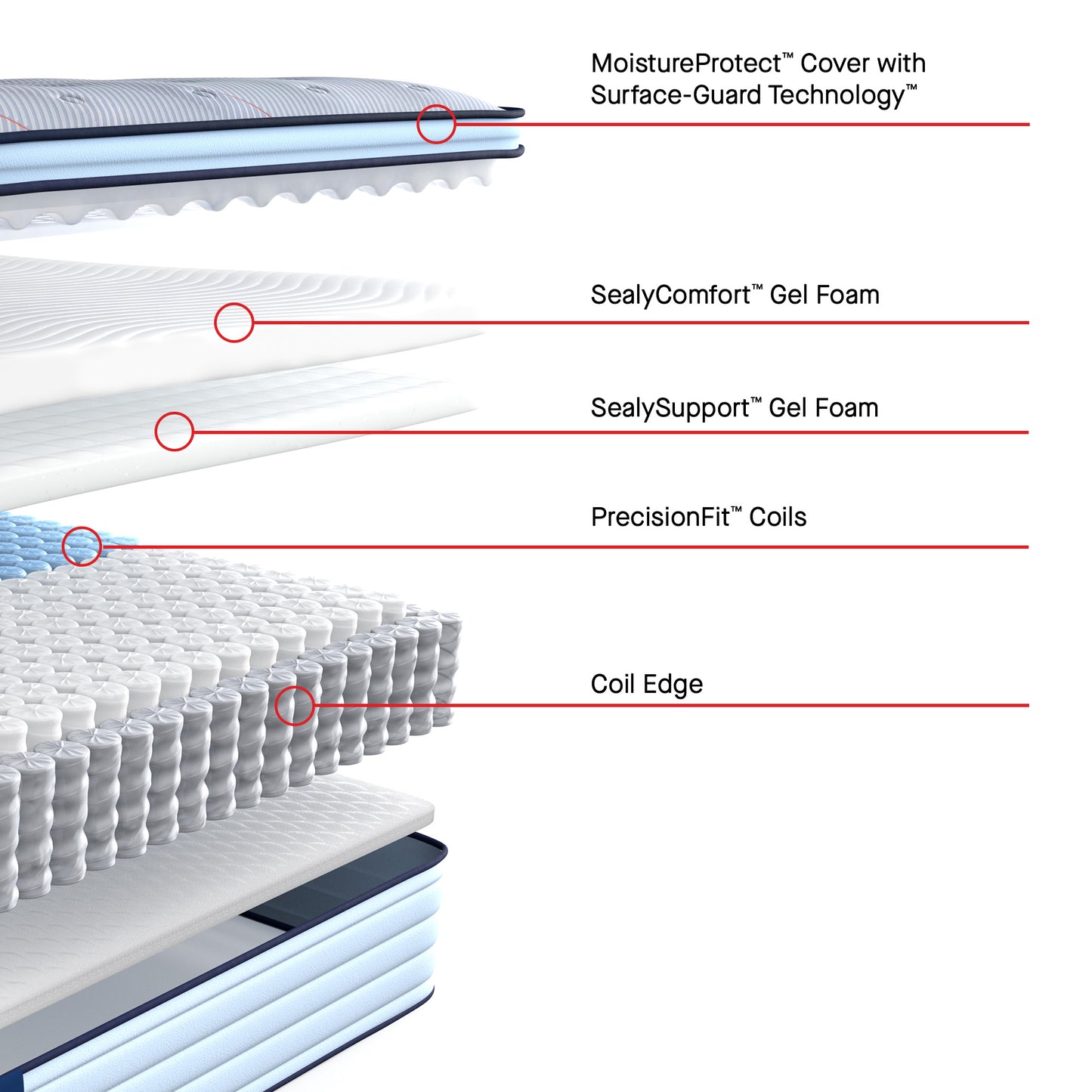 Sealy A+ Content MoistureProtect Cover with Surface-Guard Technology, SealyComfort Gel Foam, SealySupport Gel Foam, PrecisionFit Coils, Coil Edge