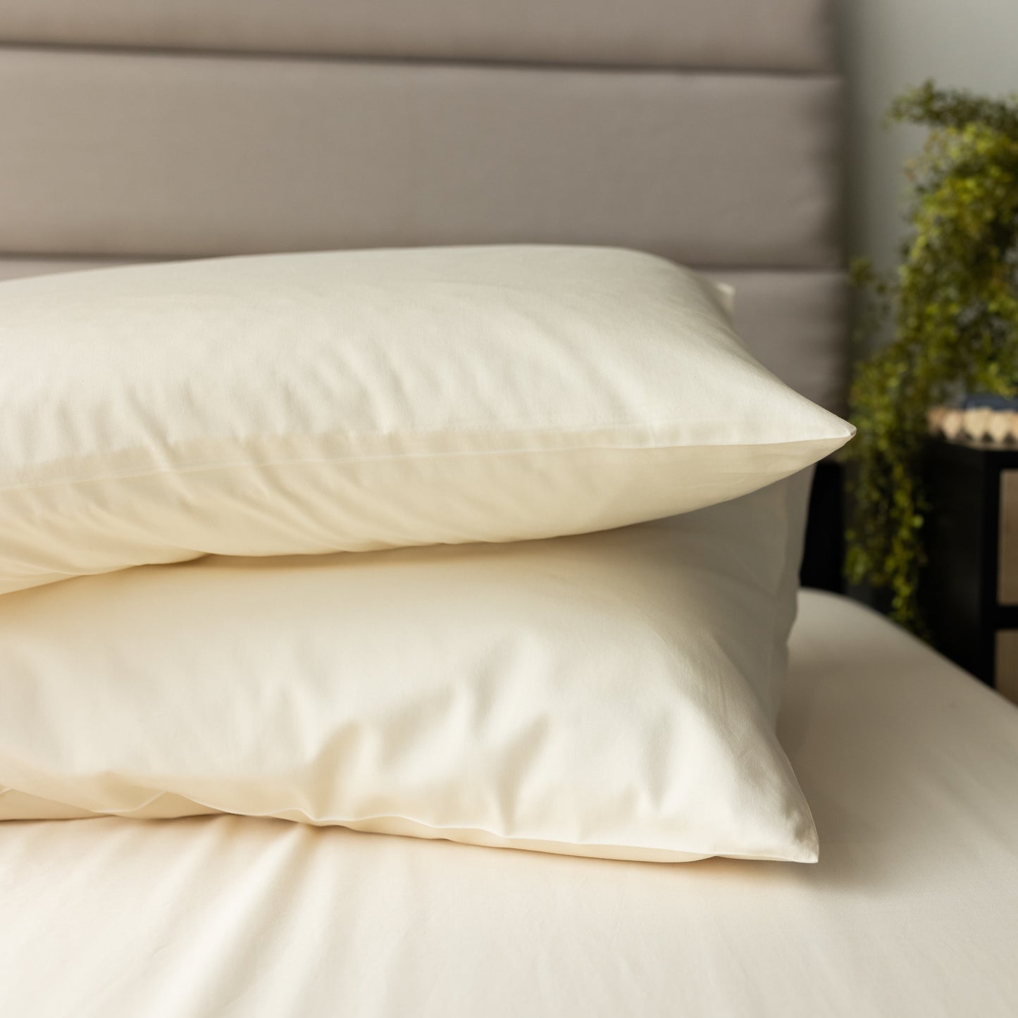 DreamFit DreamCool™ Pima Cotton Pillowcases-Ivory