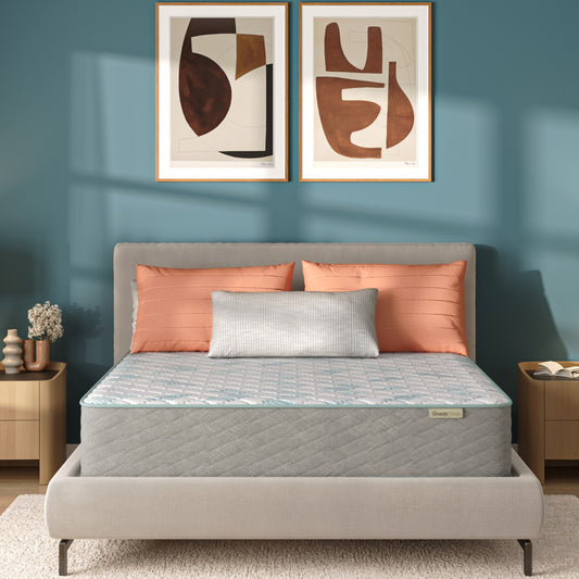 BeautySleep Behold Firm Mattress in room lifestyle